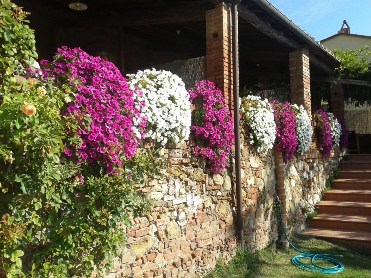 Borgo Fajani Guest House Terricciola ภายนอก รูปภาพ