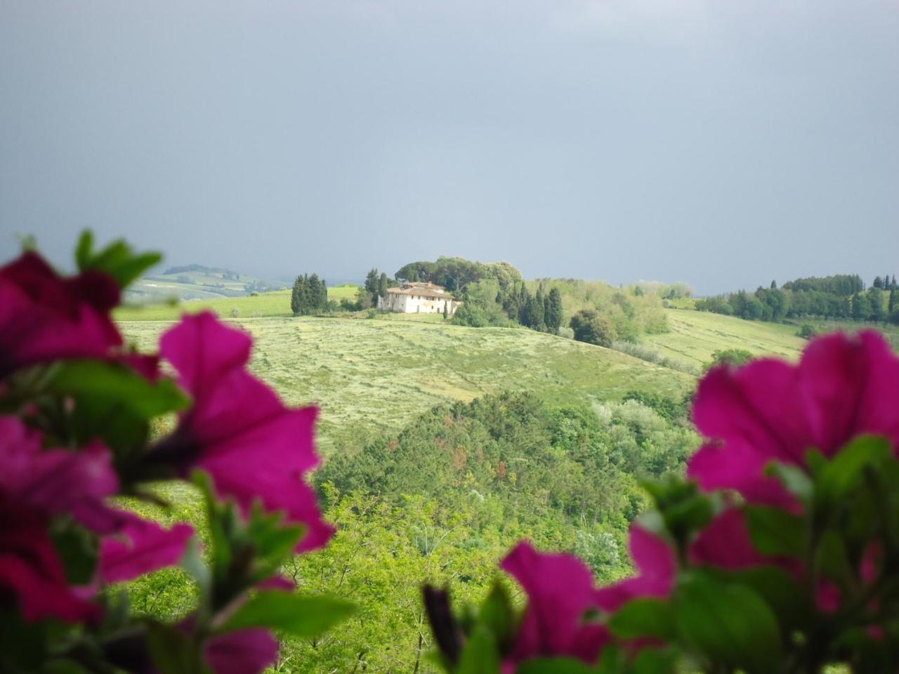 Borgo Fajani Guest House Terricciola ภายนอก รูปภาพ